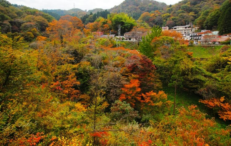 鎌先温泉　秋