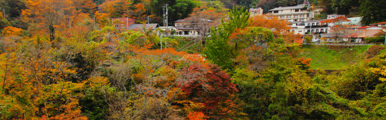 鎌先温泉について