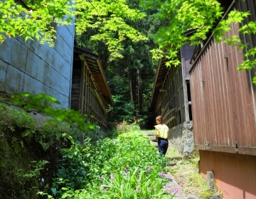 一條旅館で「ととのう」時間を