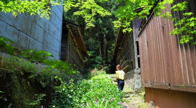 一條旅館で「ととのう」時間を